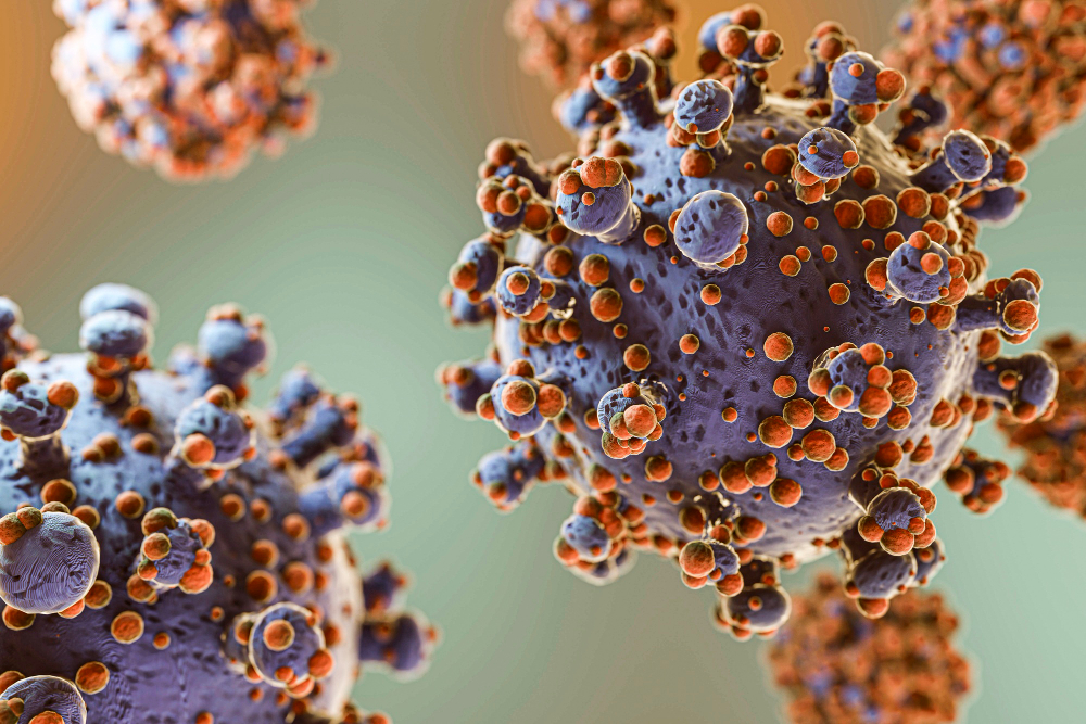 hantavirus